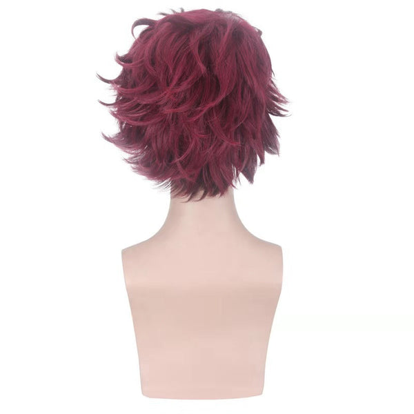 Tanjiro Cosplay Wigs Wine Red Cosplay Wigs Halloween Accessories