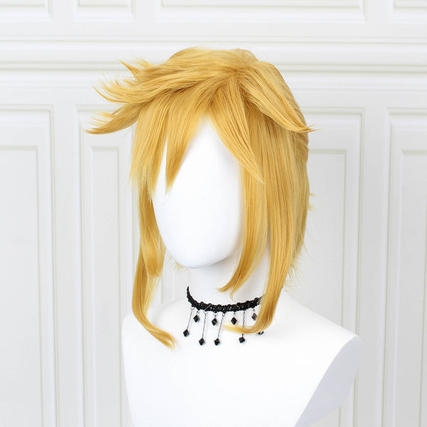Link Costume Wigs Golden Wigs