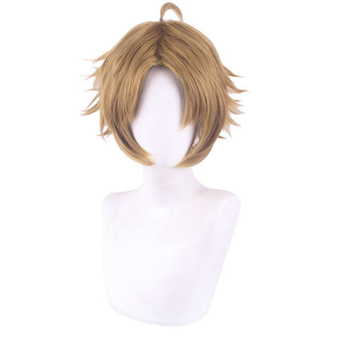 Rudeus Wigs Greyrat Cosplay Costume Wigs